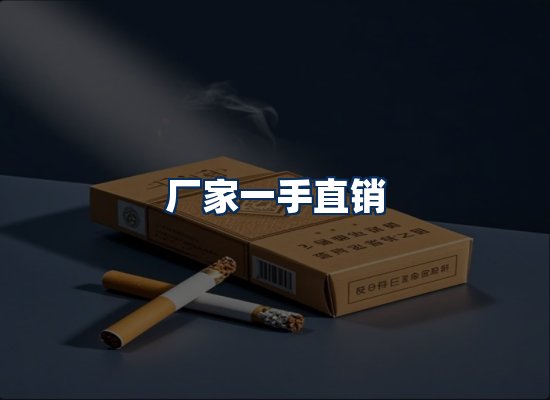 专业团队办公环境